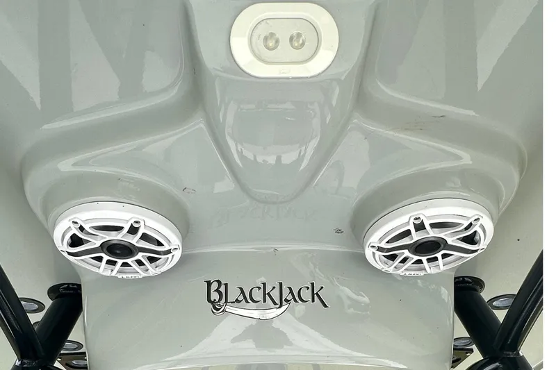 Slide: The Image of 2022 BlackJack 256 Bay boat speakers and logo on a sleek gray surface. - 12