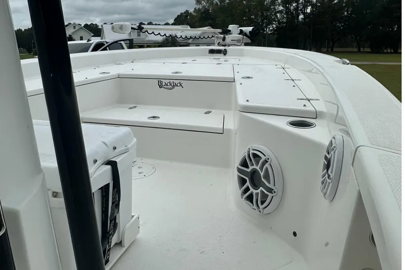 Slide: The Image of 2022 BlackJack 256 Bay boat interior with seating and speakers. - 15