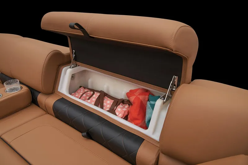 Slide: The Image of 2025 Regency 250 LE3 boat storage compartment with cushioned seating and secure straps. - 18