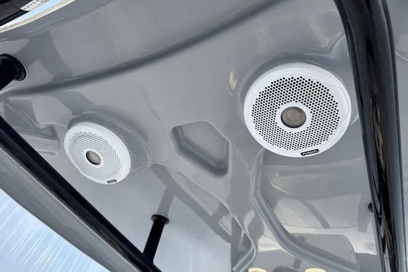 Slide: The Image of Speakers on 2017 Tidewater 230 CC Adventure boat's interior ceiling. - 19