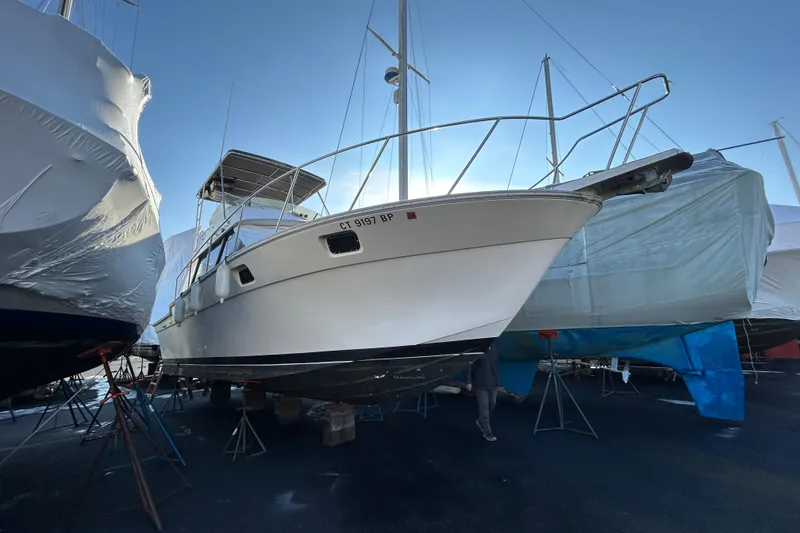 The Image of 1983 Silverton 34 Convertible boat on stands, surrounded by other covered boats. - 0