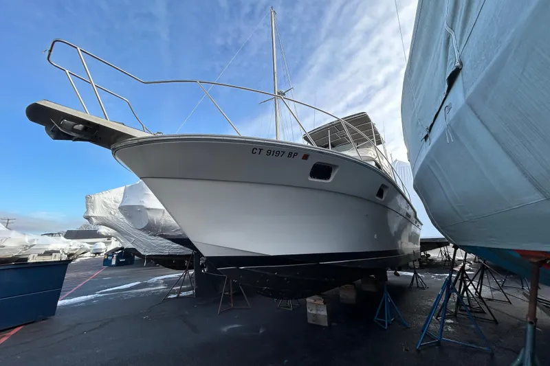Slide: The Image of 1983 Silverton 34 Convertible boat on stands, surrounded by other covered boats. - 2