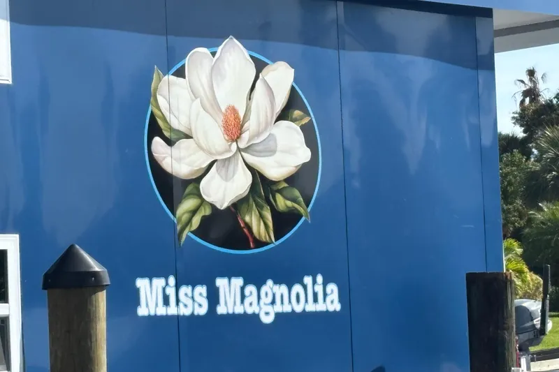 Slide: The Image of Miss Magnolia - 35