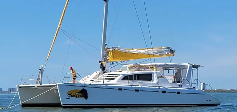 The Image of Leopard 47 2003 - 0