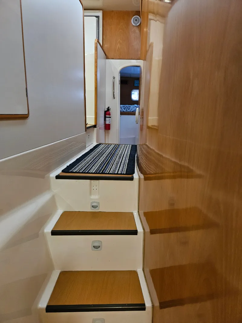 Slide: The Image of Leopard 47 2003 - 17