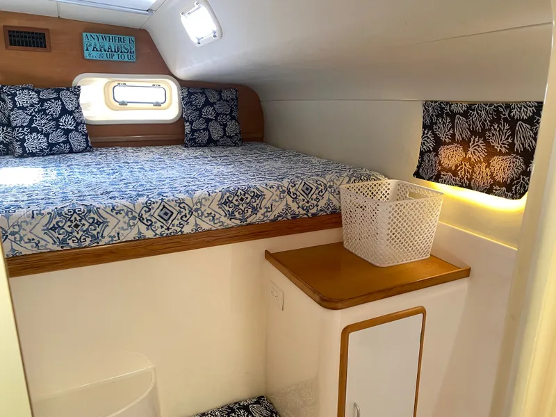 Slide: The Image of Leopard 47 2003 - 19