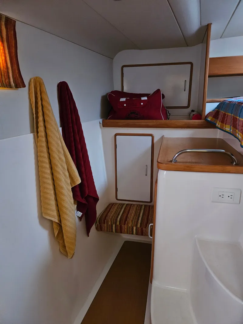 Slide: The Image of Leopard 47 2003 - 22