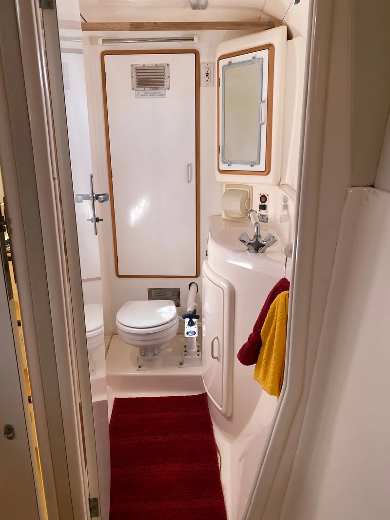 Slide: The Image of Leopard 47 2003 - 23