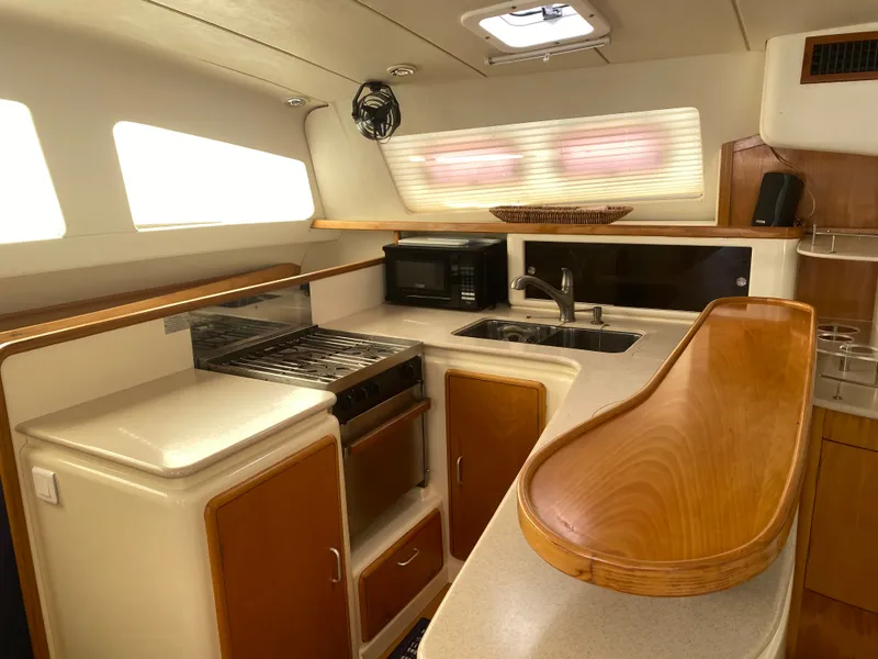 Slide: The Image of Leopard 47 2003 - 26