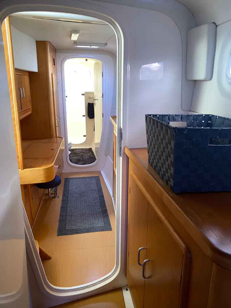 Slide: The Image of Leopard 47 2003 - 30