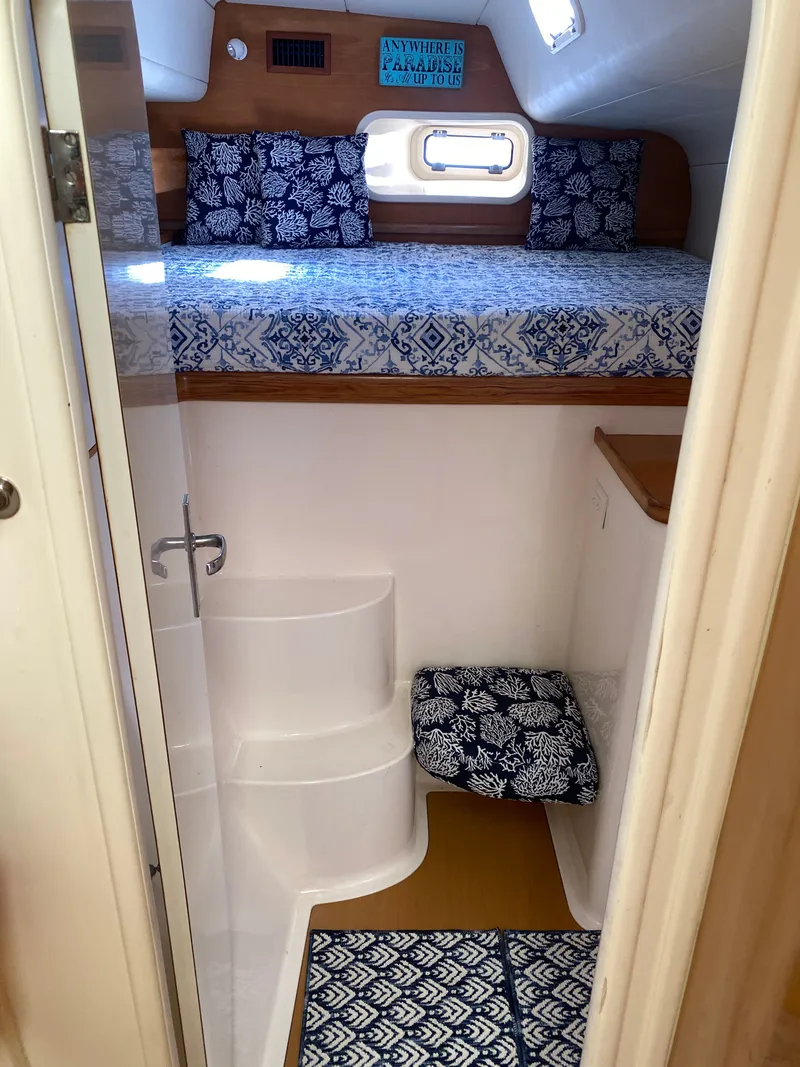 Slide: The Image of Leopard 47 2003 - 32