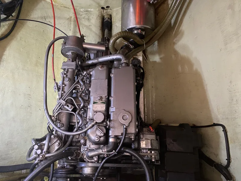 Slide: The Image of Leopard 47 2003 - 35