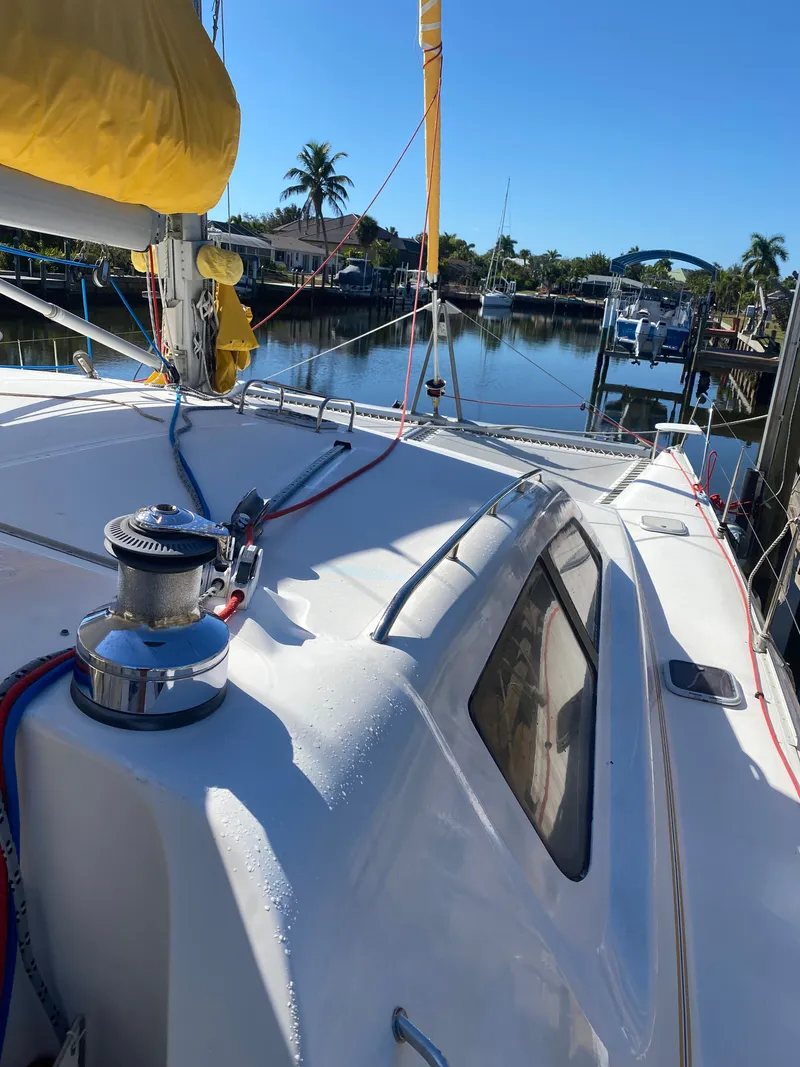 Slide: The Image of Leopard 47 2003 - 37