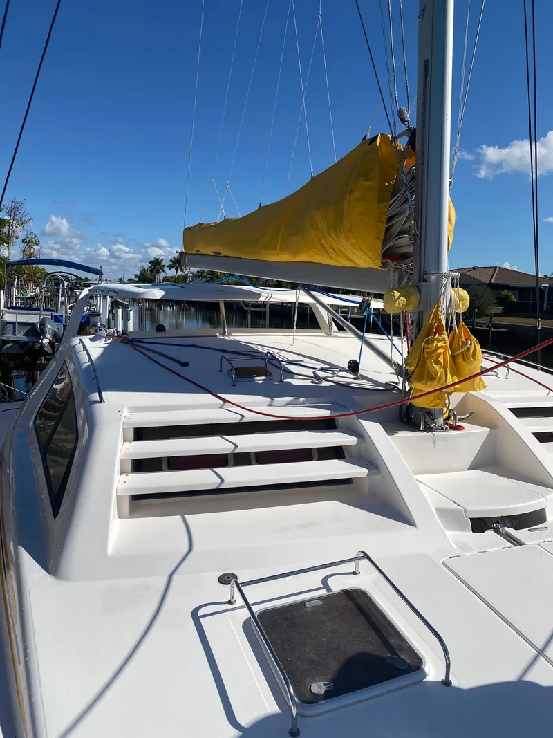 Slide: The Image of Leopard 47 2003 - 47