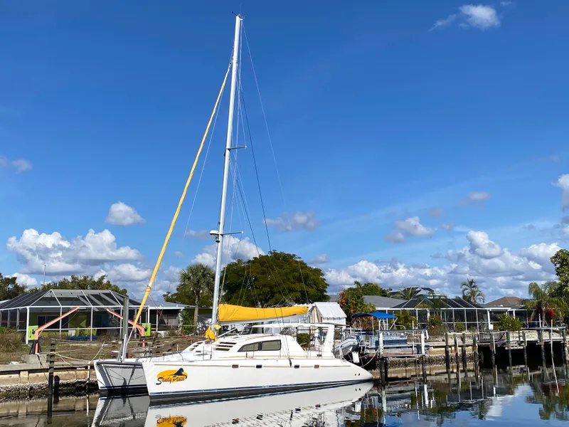 Slide: The Image of Leopard 47 2003 - 50