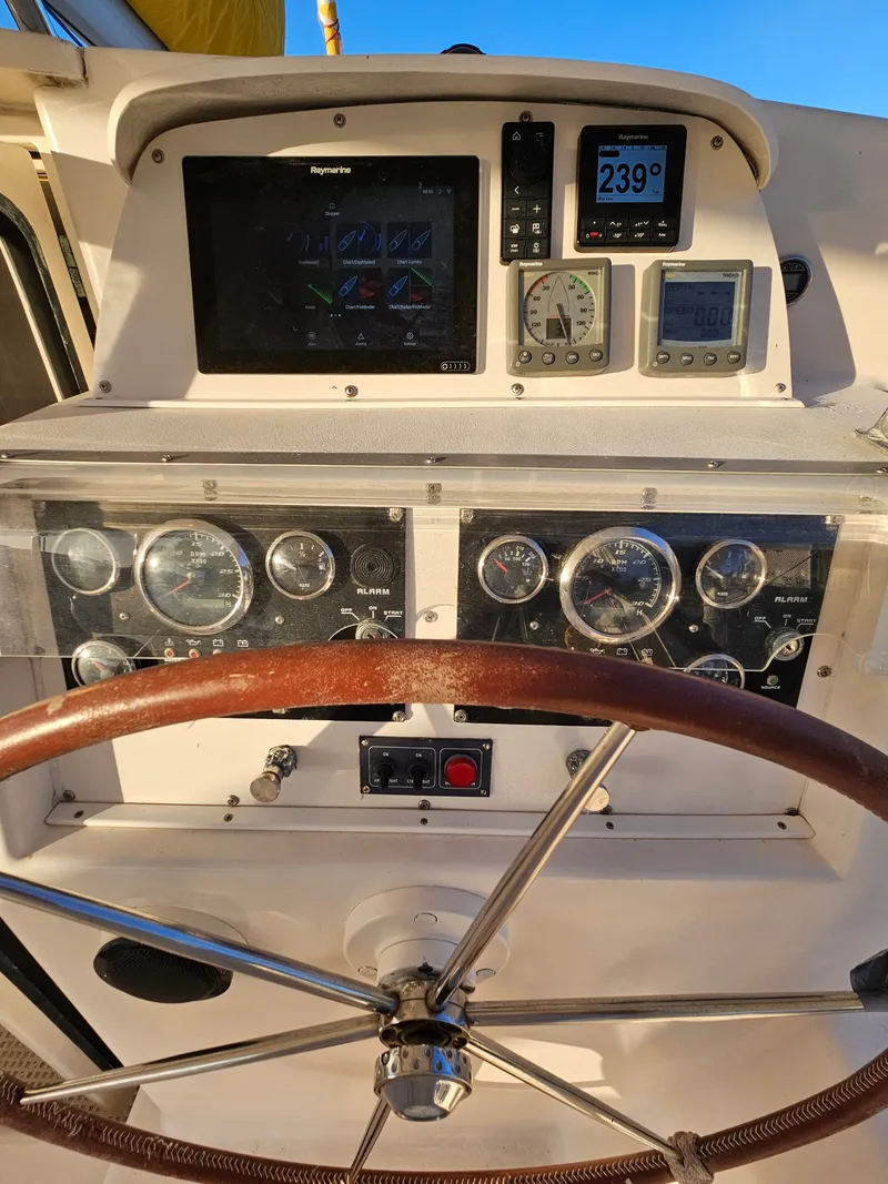 Slide: The Image of Leopard 47 2003 - 8