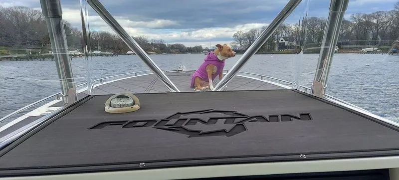 Slide: The Image of Fountain 38 Center Console 2011 - 17