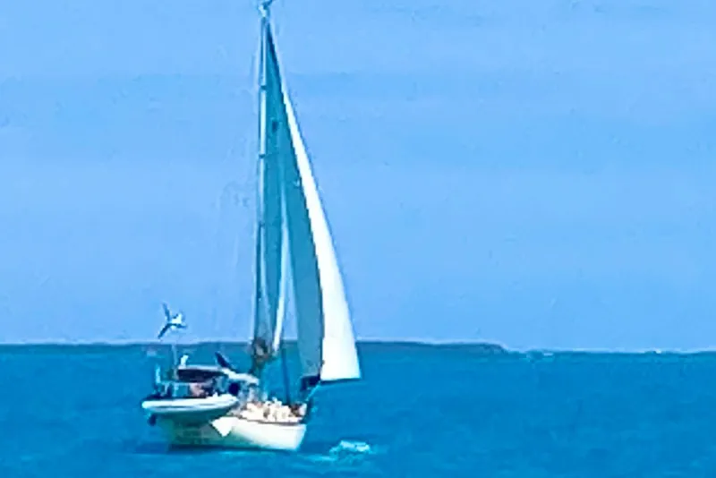 Slide: The Image of Sailboat Island Packet 35, 1991 model, cruising on open blue sea. - 46