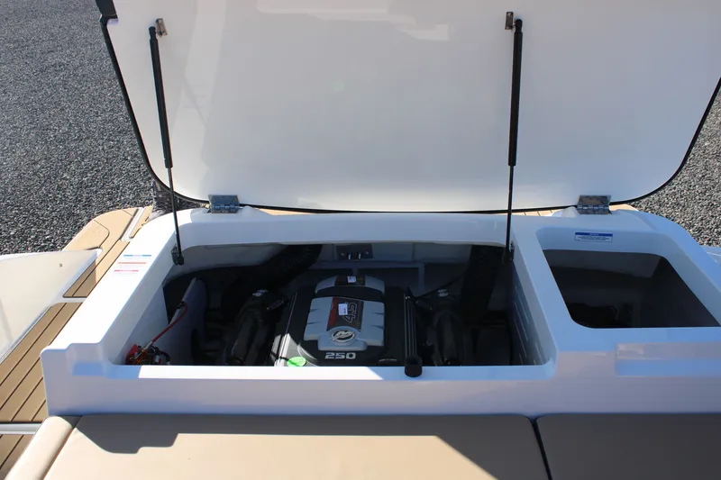 Slide: The Image of Sea Ray SPX 210 2026 - 10