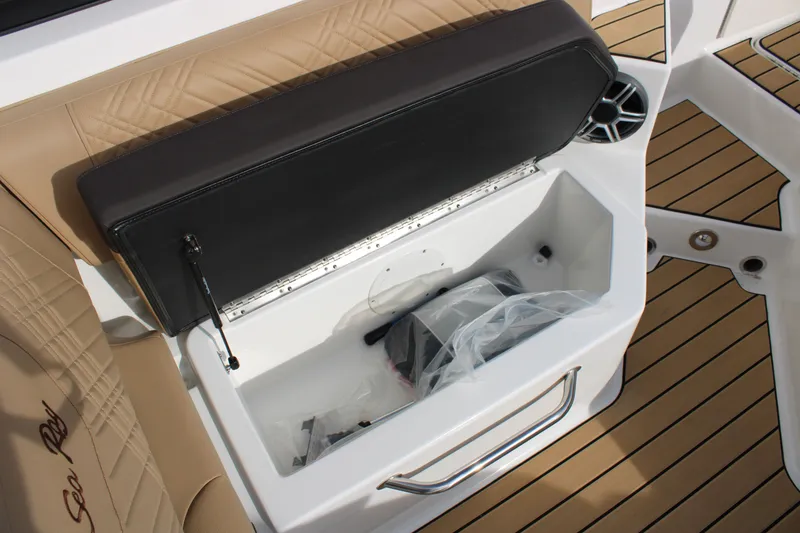 Slide: The Image of Sea Ray SDX 270 2026 - 28