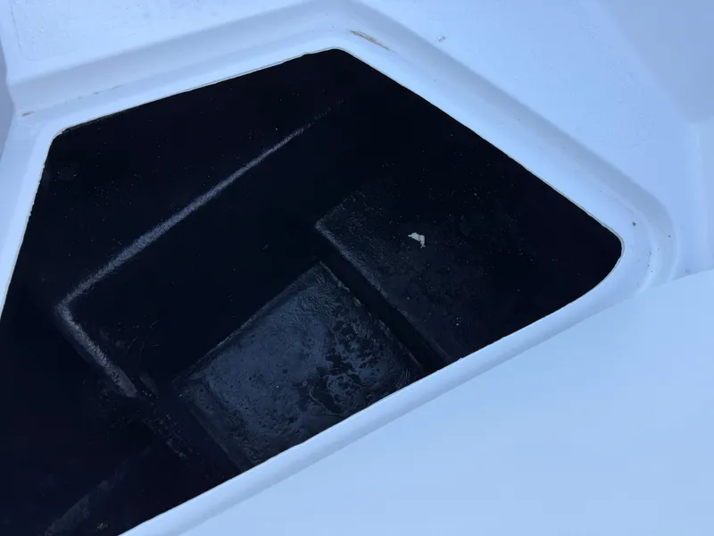 Slide: The Image of Stingray 212 SC 2025 - 37