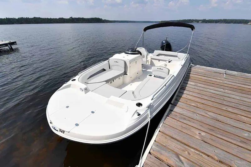 Slide: The Image of Stingray 212 SC 2026 - 11