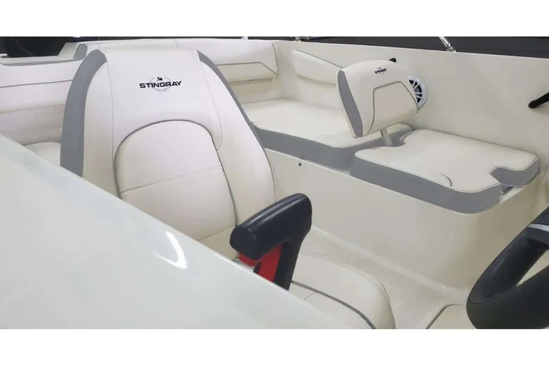 Slide: The Image of Stingray 172 DC 2026 - 10