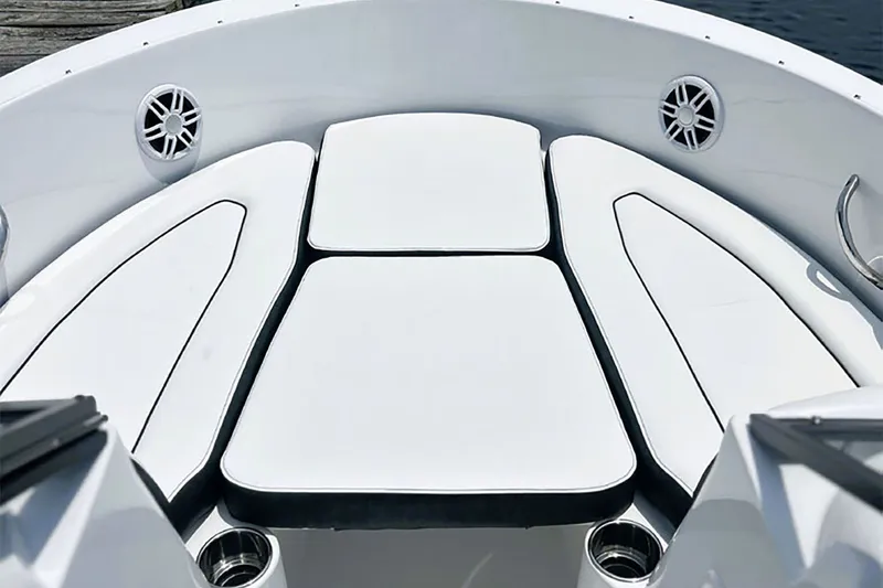 Slide: The Image of Stingray 172 DC 2026 - 51