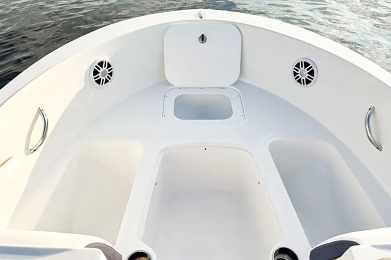 Slide: The Image of Stingray 172 DC 2026 - 55