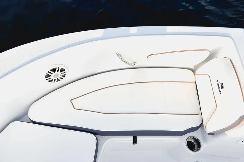 Slide: The Image of Stingray 172 DC 2026 - 59