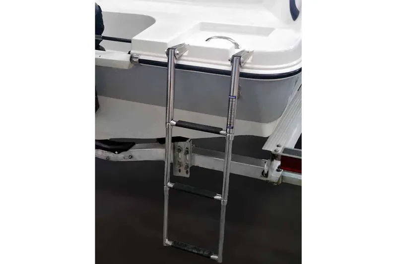 Slide: The Image of Stingray 172 DC 2026 - 6