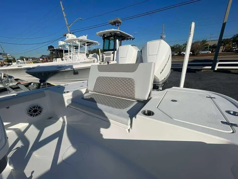 Slide: The Image of Caymas 281 HB 2026 - 4