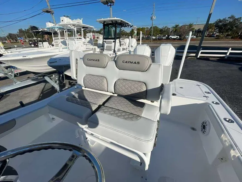 Slide: The Image of Caymas 281 HB 2026 - 5