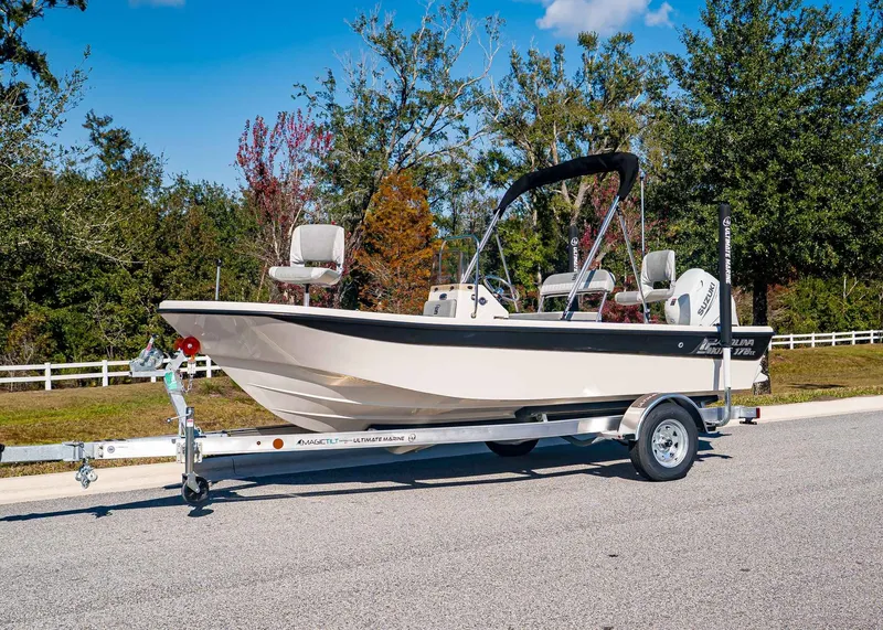 The Image of Carolina 178 JLS 2026 - 1