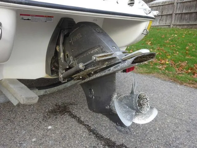 Slide: The Image of Stingray 185 LS 2009 - 16