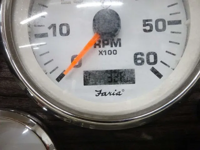 Slide: The Image of Stingray 185 LS 2009 - 17