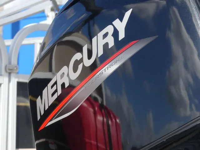 Slide: The Image of Sun Tracker Bass Buggy 16 DLX 2021 - 10