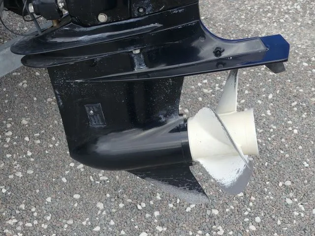 Slide: The Image of Apex Marine 818 Fish 2022 - 10