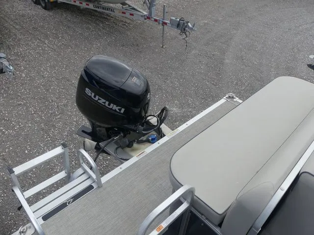 Slide: The Image of Apex Marine 818 Fish 2022 - 13