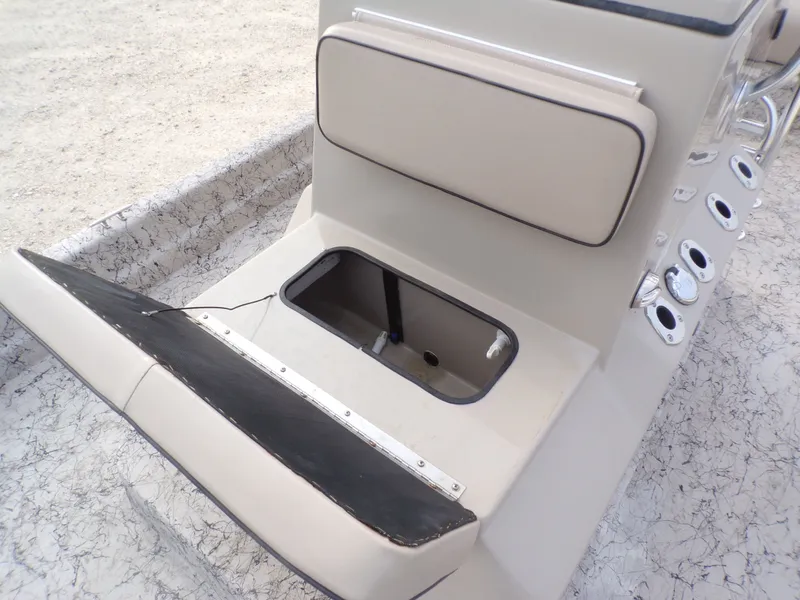 Slide: The Image of Dargel SKOUT 210SKT 2019 - 9