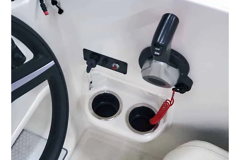 Slide: The Image of Stingray 172 SC 2024 - 23