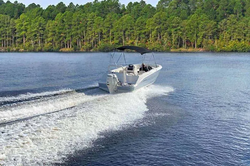 Slide: The Image of Stingray 172 SC 2024 - 31