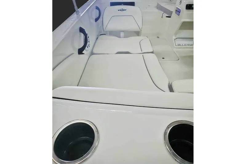 Slide: The Image of Stingray 172 DC 2025 - 13