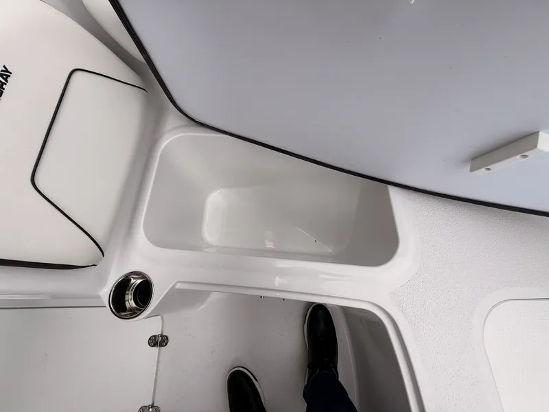 Slide: The Image of Stingray 172 DC 2025 - 26