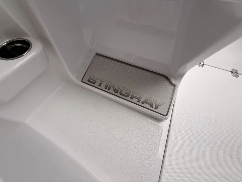 Slide: The Image of Stingray 172 DC 2025 - 29