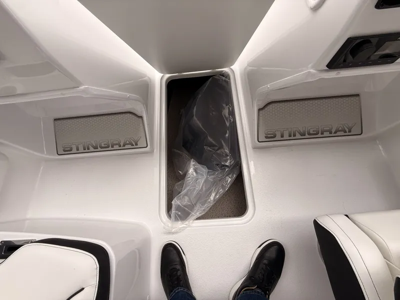 Slide: The Image of Stingray 172 DC 2025 - 31