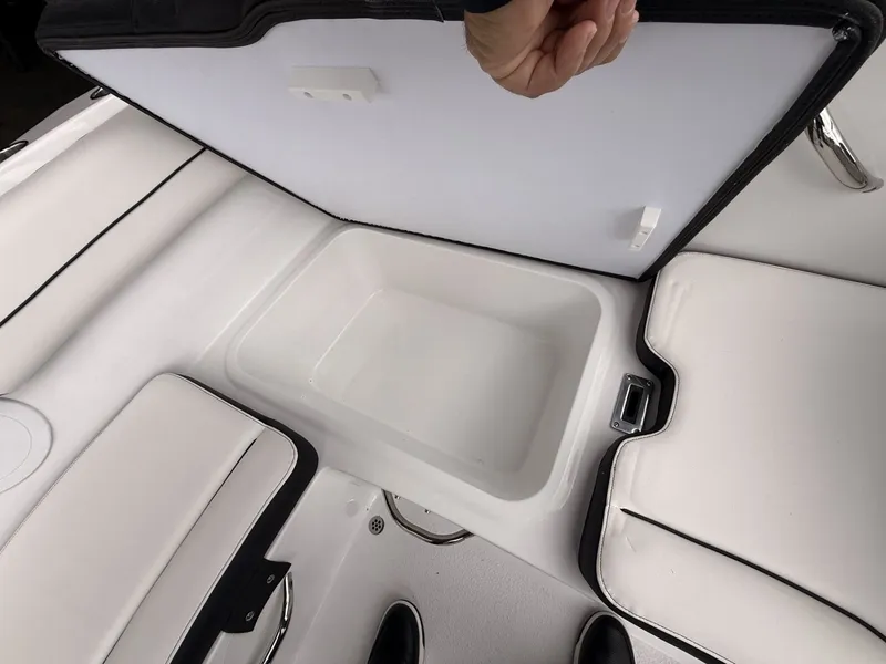 Slide: The Image of Stingray 172 DC 2025 - 33