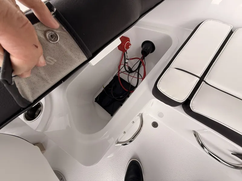 Slide: The Image of Stingray 172 DC 2025 - 34