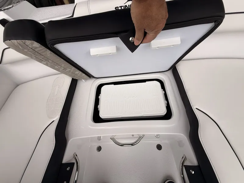 Slide: The Image of Stingray 172 DC 2025 - 35