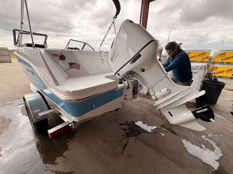 Slide: The Image of Stingray 172 DC 2025 - 40